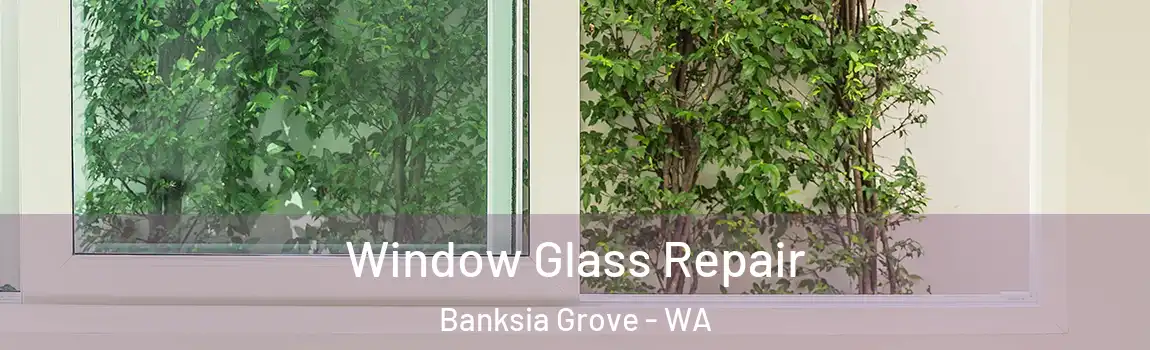 Window Glass Repair Banksia Grove - WA