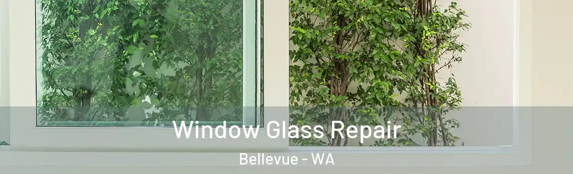 Window Glass Repair Bellevue - WA