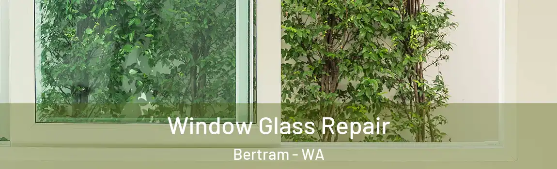 Window Glass Repair Bertram - WA