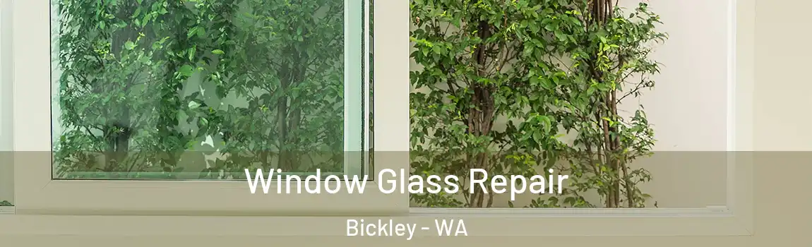 Window Glass Repair Bickley - WA