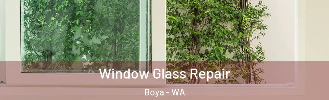 Window Glass Repair Boya - WA