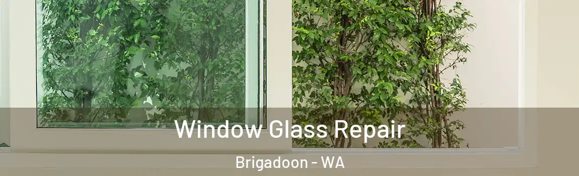 Window Glass Repair Brigadoon - WA