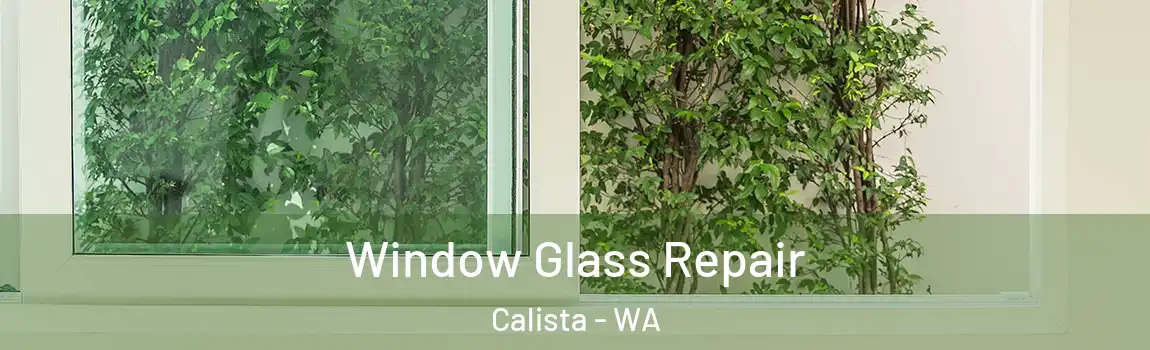 Window Glass Repair Calista - WA