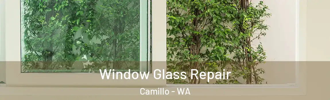 Window Glass Repair Camillo - WA