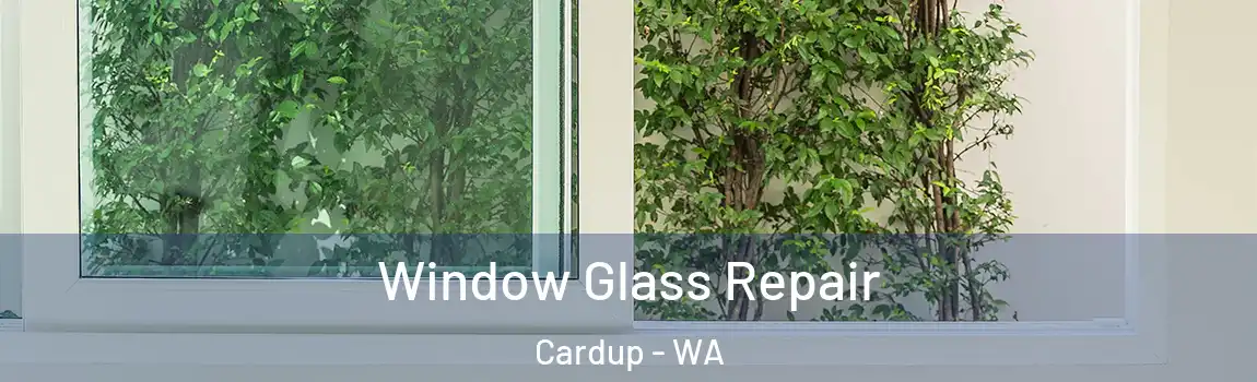 Window Glass Repair Cardup - WA