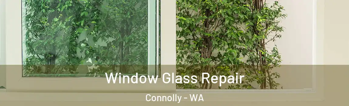 Window Glass Repair Connolly - WA