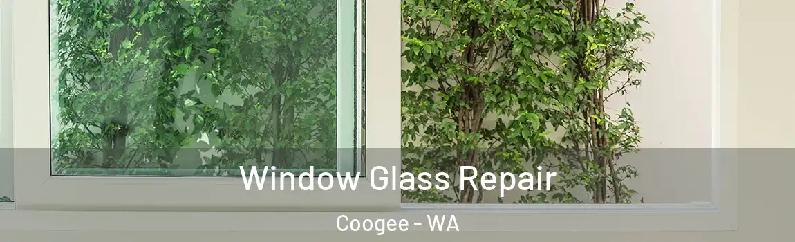 Window Glass Repair Coogee - WA