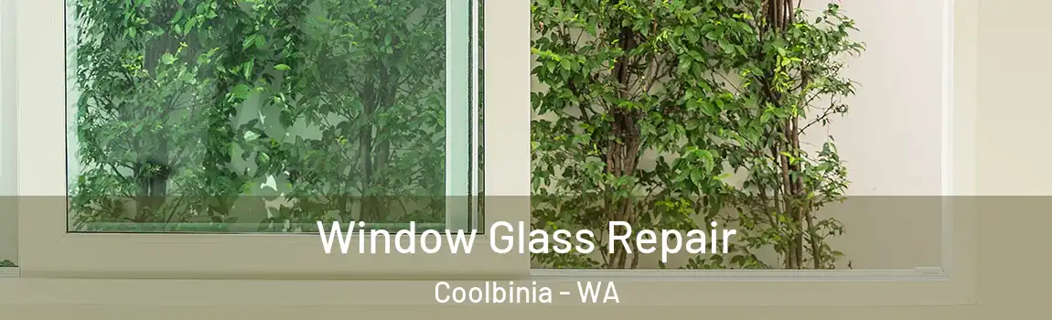 Window Glass Repair Coolbinia - WA