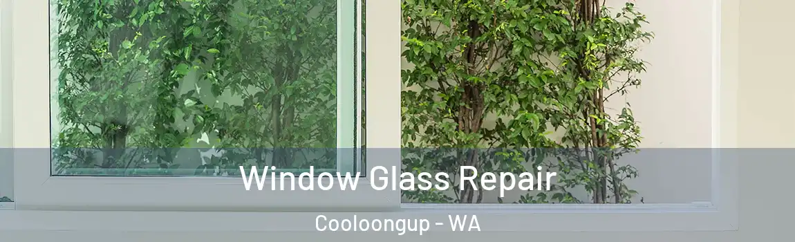 Window Glass Repair Cooloongup - WA