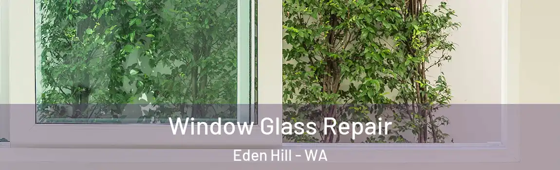 Window Glass Repair Eden Hill - WA