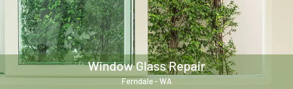 Window Glass Repair Ferndale - WA