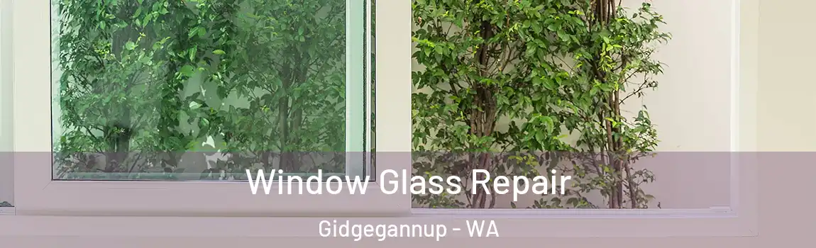 Window Glass Repair Gidgegannup - WA