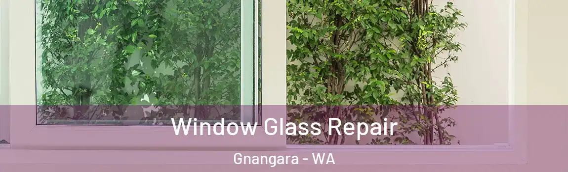 Window Glass Repair Gnangara - WA