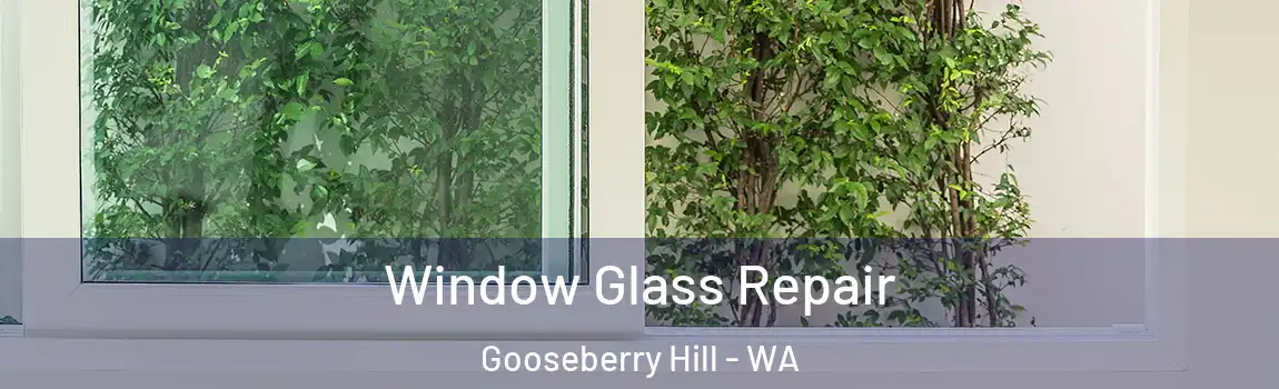 Window Glass Repair Gooseberry Hill - WA