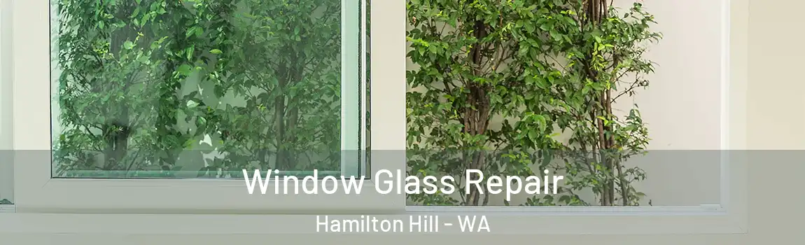 Window Glass Repair Hamilton Hill - WA