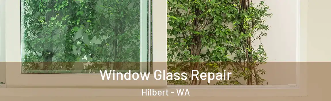 Window Glass Repair Hilbert - WA