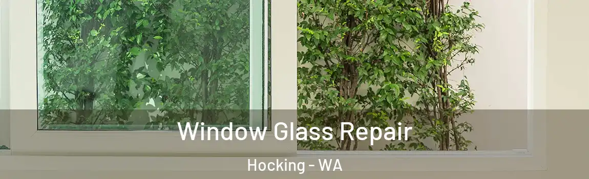 Window Glass Repair Hocking - WA