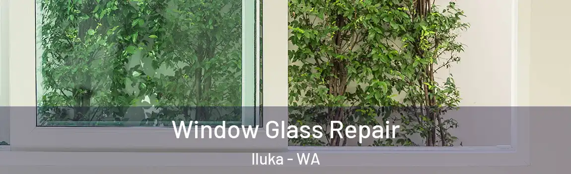 Window Glass Repair Iluka - WA
