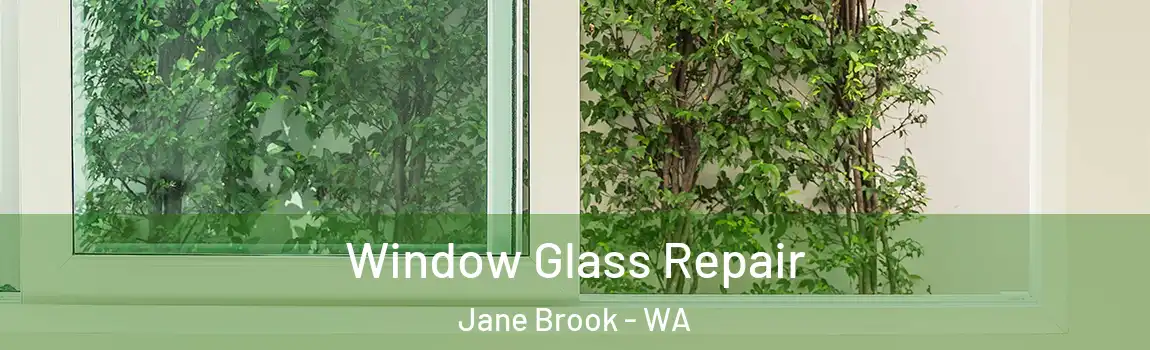 Window Glass Repair Jane Brook - WA