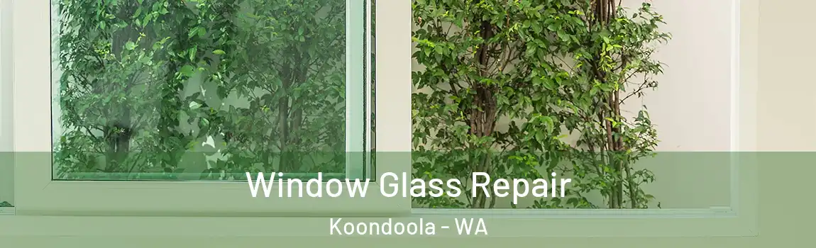 Window Glass Repair Koondoola - WA