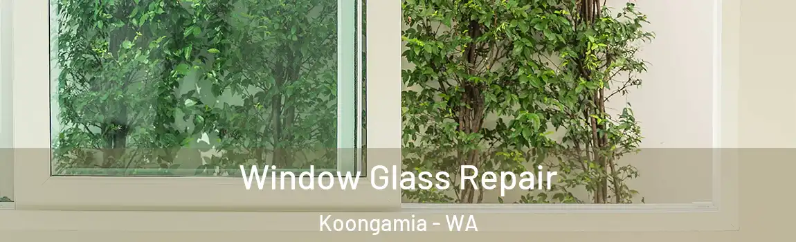 Window Glass Repair Koongamia - WA