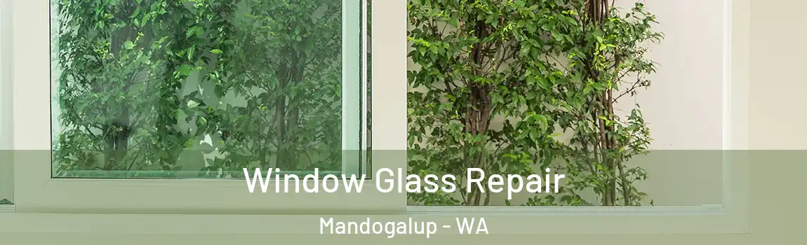 Window Glass Repair Mandogalup - WA
