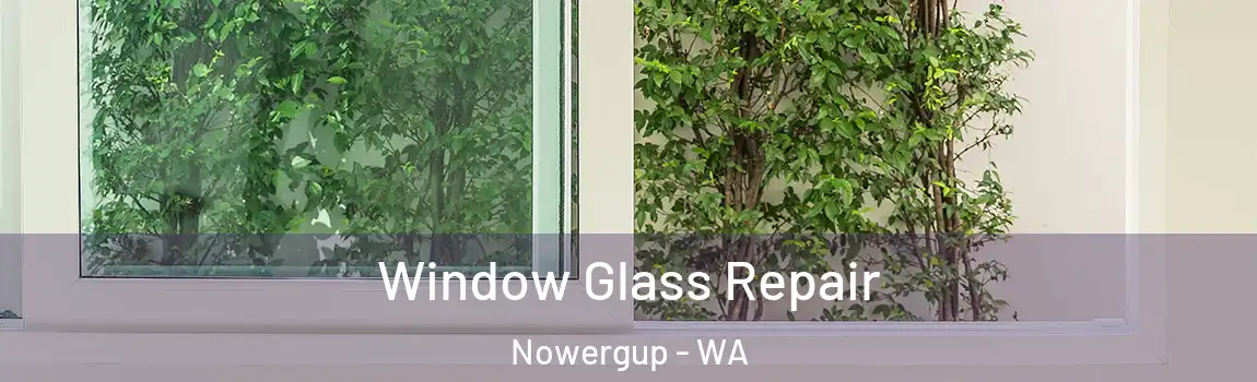 Window Glass Repair Nowergup - WA