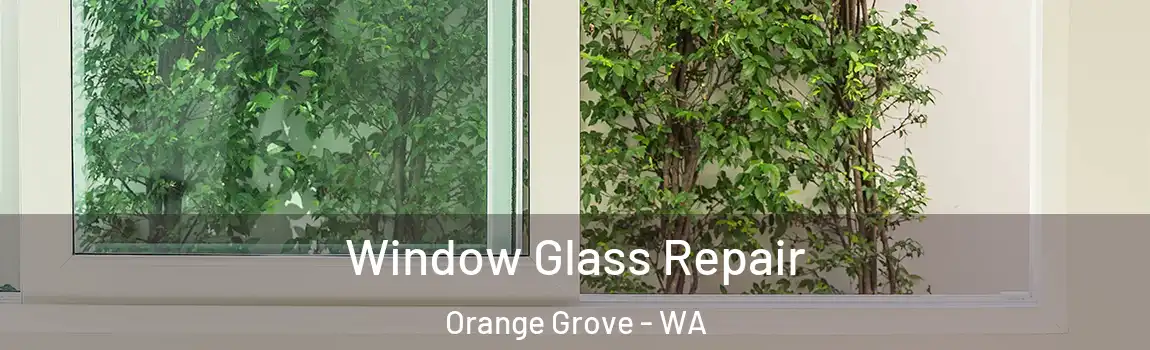 Window Glass Repair Orange Grove - WA