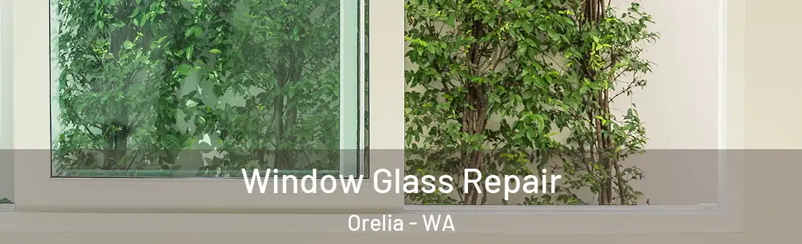 Window Glass Repair Orelia - WA