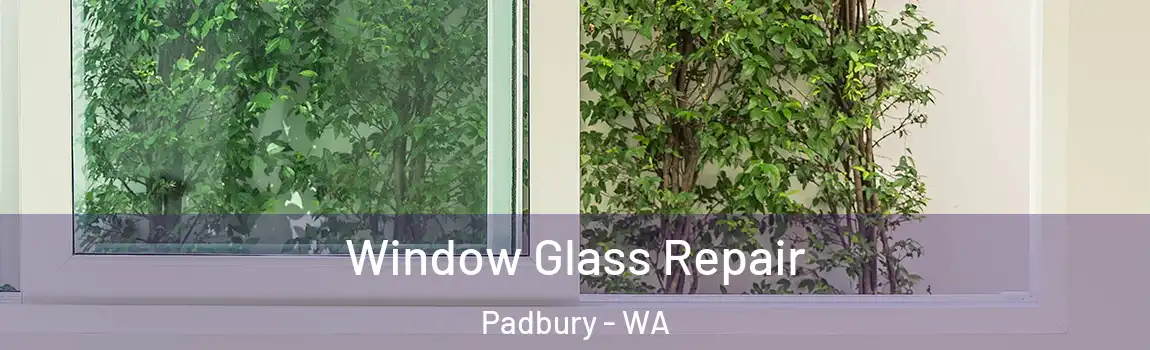 Window Glass Repair Padbury - WA