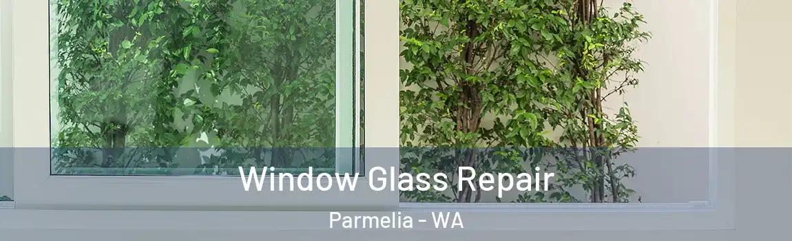 Window Glass Repair Parmelia - WA