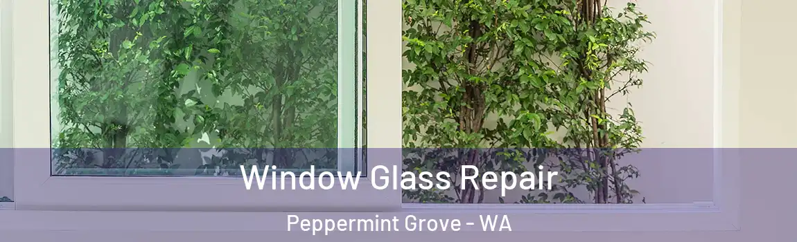 Window Glass Repair Peppermint Grove - WA