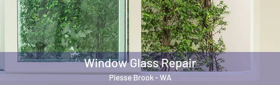 Window Glass Repair Piesse Brook - WA