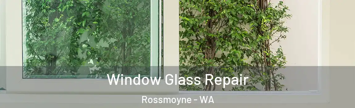 Window Glass Repair Rossmoyne - WA