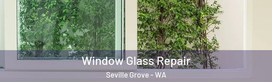 Window Glass Repair Seville Grove - WA