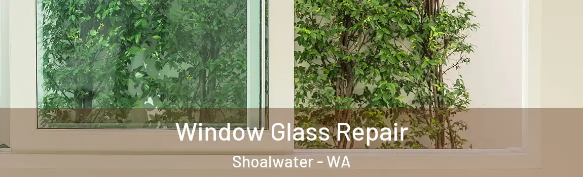 Window Glass Repair Shoalwater - WA