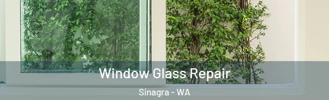 Window Glass Repair Sinagra - WA
