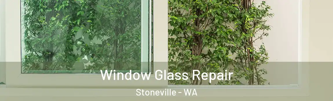 Window Glass Repair Stoneville - WA