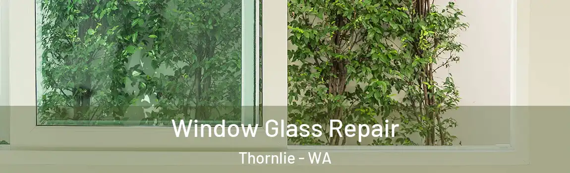 Window Glass Repair Thornlie - WA