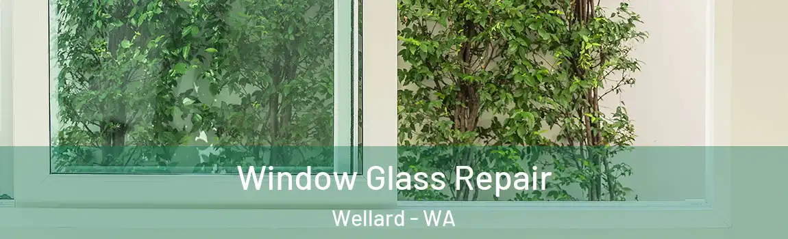 Window Glass Repair Wellard - WA