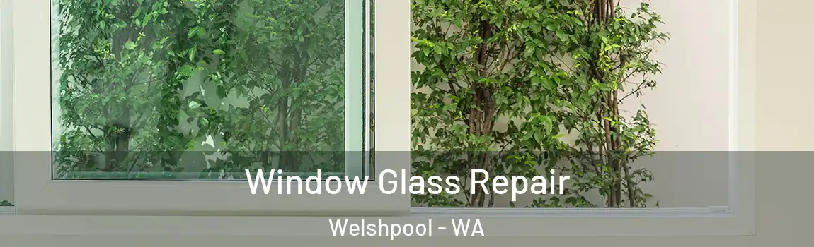 Window Glass Repair Welshpool - WA