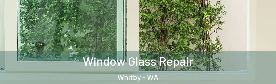 Window Glass Repair Whitby - WA