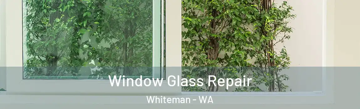 Window Glass Repair Whiteman - WA