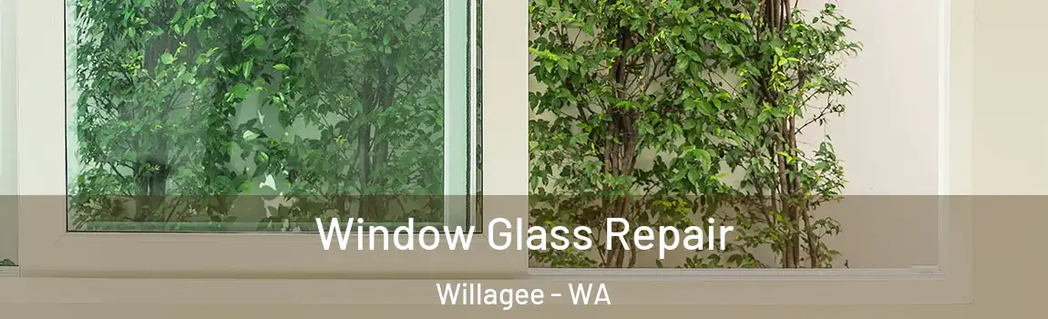 Window Glass Repair Willagee - WA