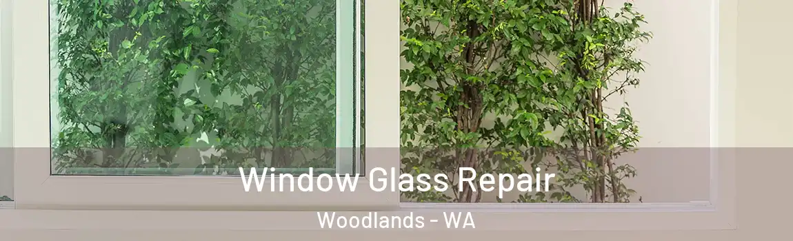 Window Glass Repair Woodlands - WA