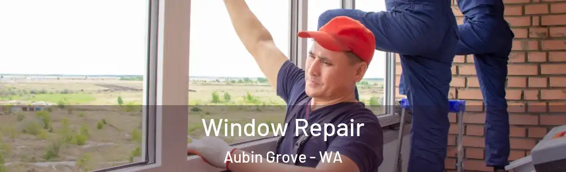 Window Repair Aubin Grove - WA