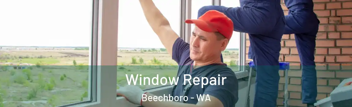 Window Repair Beechboro - WA