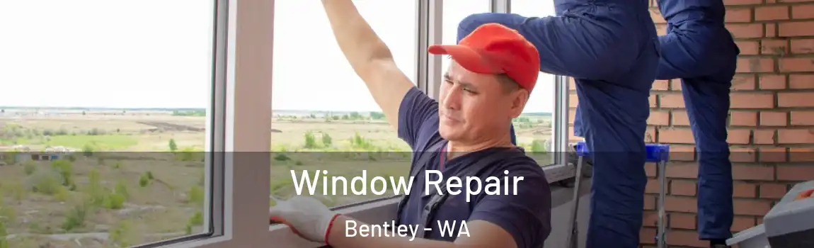 Window Repair Bentley - WA