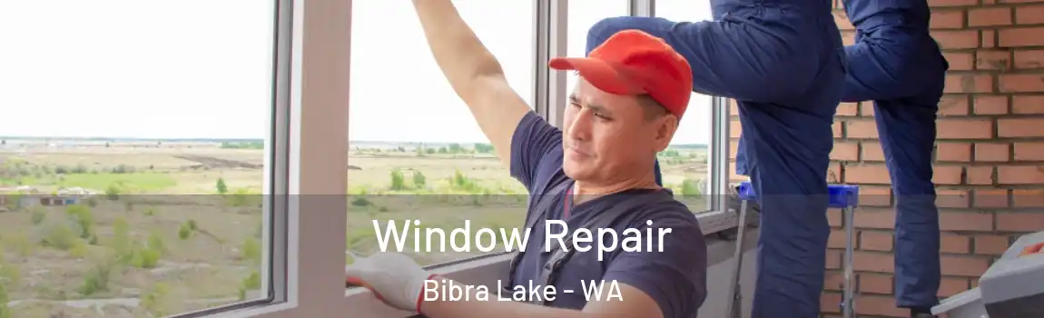 Window Repair Bibra Lake - WA