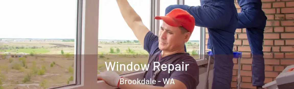 Window Repair Brookdale - WA
